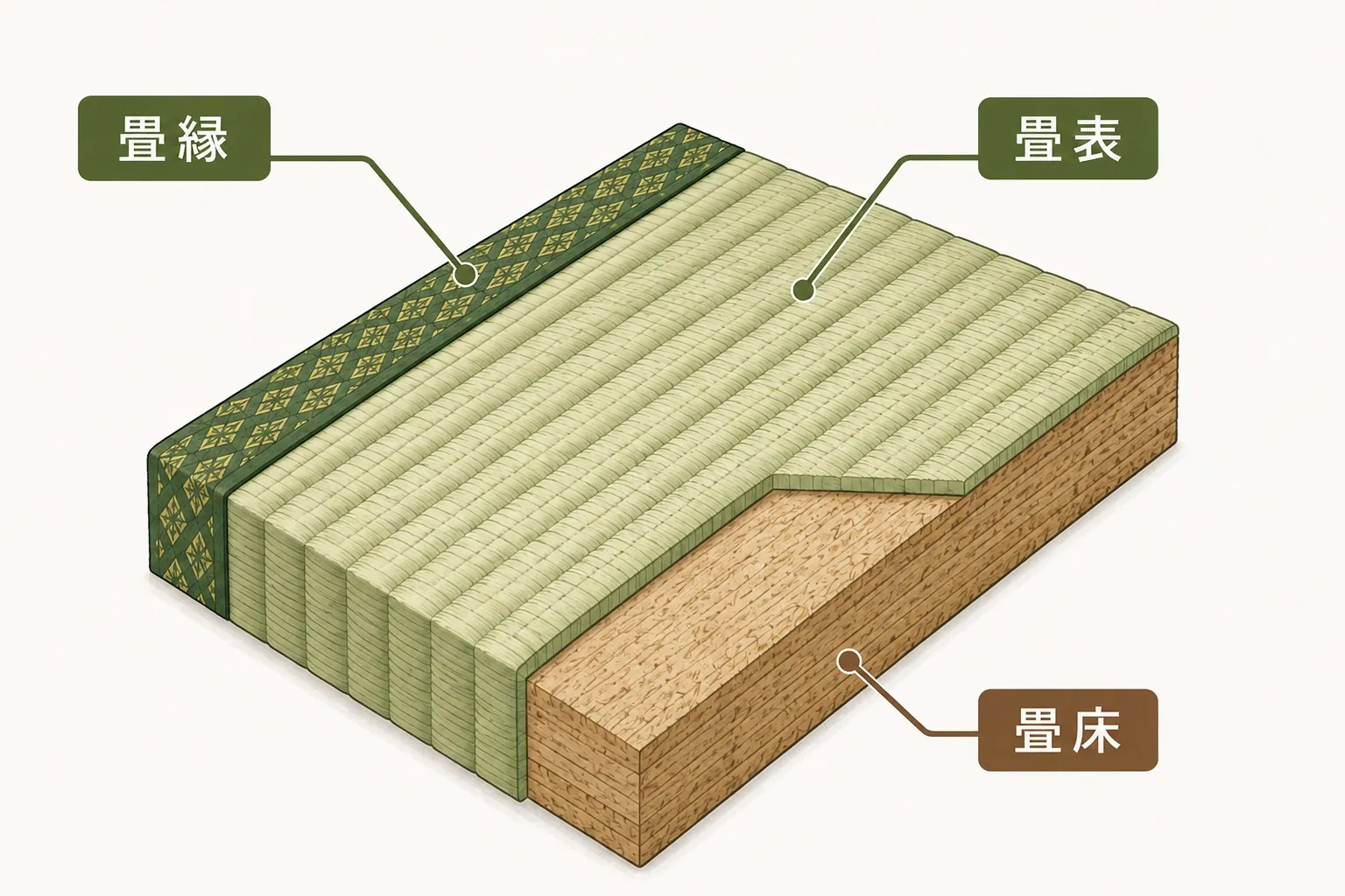 畳の断面構造。表面の畳表（たたみおもて）、芯となる畳床（たたみどこ）、端を保護する畳縁（たたみべり）の3つの部材からなることを示すイラスト